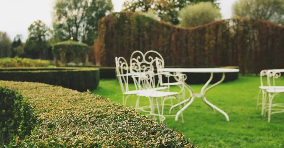 A white garden table and chairs on a lawn framed by hedges